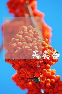 买卖合同中所有权什么时候发生转移