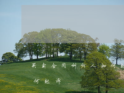买卖合同纠纷人如何起诉(买卖合同纠纷人如何起诉)