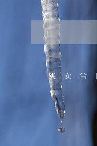 买卖合同纠纷去哪里起诉