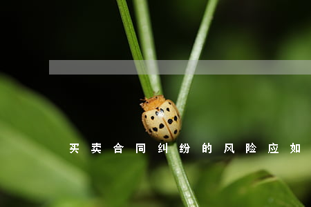 买卖合同纠纷的风险应如何防范