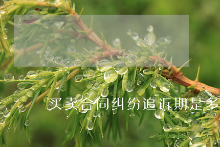 买卖合同纠纷追诉期是多久