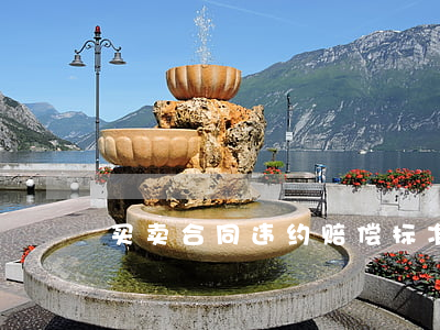 买卖合同违约赔偿标准如何制定