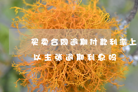 买卖合同逾期付款利率（上海买卖合同纠纷可以主张逾期利息吗）
