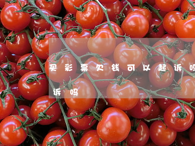 买彩票欠钱可以起诉吗(欠彩票钱能到法院起诉吗)
