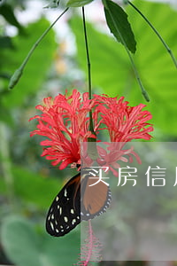 买房信用卡逾期看几年的