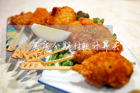 买房分期付款计算(买房分期付款计算软件)