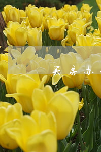 买房办假离婚贷款买房