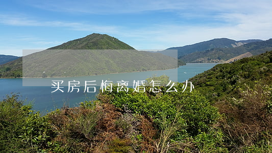 买房后悔离婚怎么办