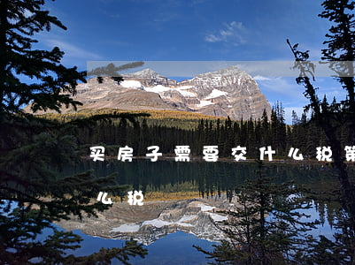 买房子需要交什么税(第二次买房子需要交什么税)