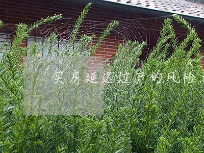 买房延迟过户的风险点，你了解吗？