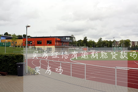买房征信有逾期能贷款吗(逾期上征信能贷款买房吗)