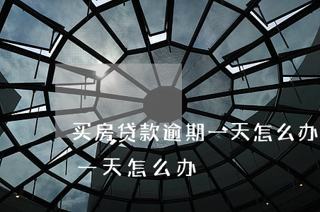 买房贷款逾期一天怎么办(房贷不小心逾期了一天怎么办)