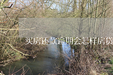 买房还款逾期会怎样(房贷逾期还款的后果)