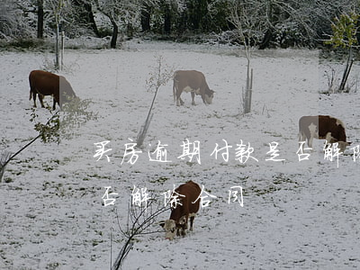 买房逾期付款是否解除合同(买房逾期付款是否解除合同)