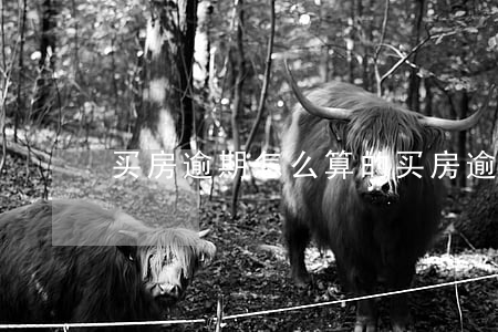 买房逾期怎么算的(买房逾期违约金怎么算)