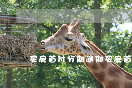 买房首付分期逾期(买房首付分期逾期)