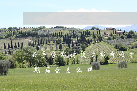 买手分期付款逾期有没有影响(分期买东西逾期后会怎么样)