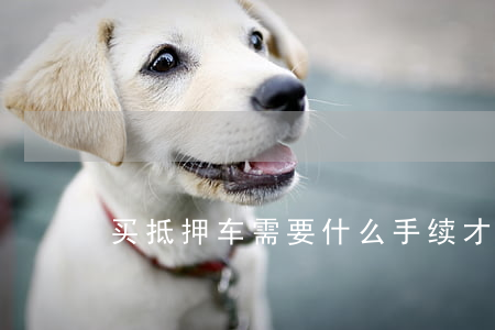 买抵押车需要什么手续才安全