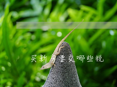 买新房要交哪些税
