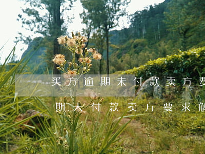 买方逾期未付款卖方要求解除合同-买方逾期未付款卖方要求解除合同怎么办