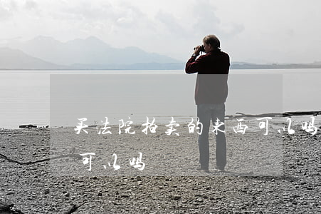 买法院拍卖的东西可以吗(买法院拍卖的东西可以吗) 买法院拍卖的东西可以吗(买法院拍卖的东西可以吗)