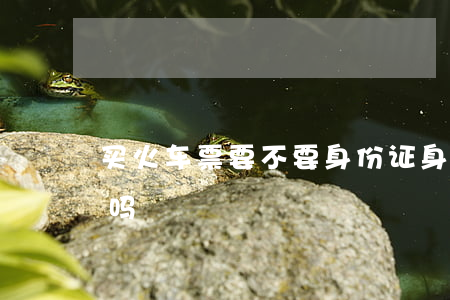 买火车票要不要身份证(身份证可以买火车票吗)