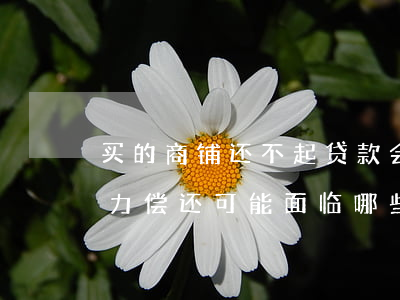 买的商铺还不起贷款会怎么样吗，商铺贷款无力偿还，可能面临哪些后果？