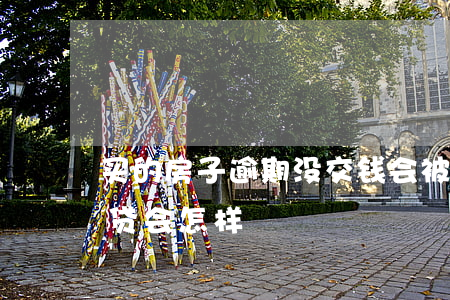 买的房子逾期没交钱会被起诉吗(逾期没交房贷会怎样)