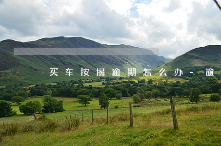 买车按揭逾期怎么办-逾期贷款买车