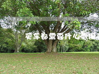 买车都需要什么费用(买车需要的费用)