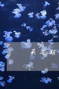 买逾期的房子(买逾期的房子)
