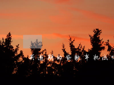 买逾期的贷款车犯法吗(贷款逾期可以买车吗)