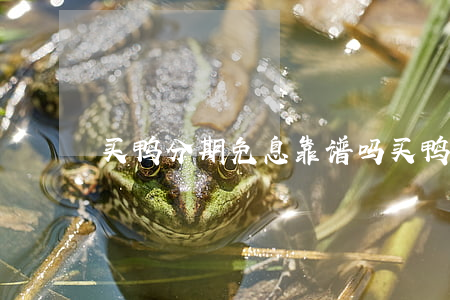 买鸭分期免息靠谱吗(买鸭分期首付)