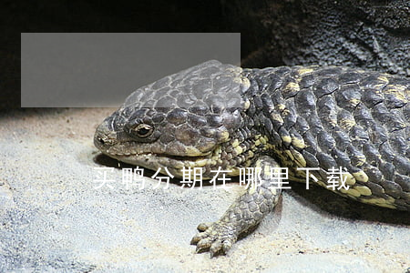 买鸭分期在哪里下载