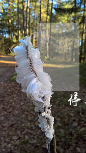 亂停造成交通事故！這回可不是罰款200的問題