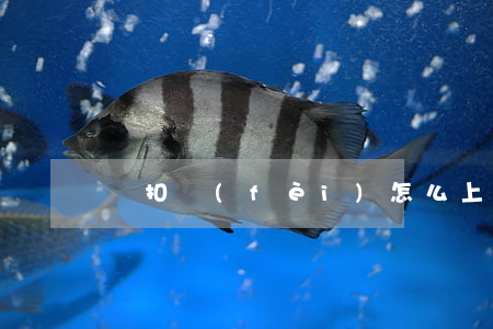 亂扣費(fèi)怎么上訴
