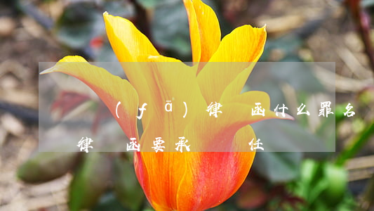 亂發(fā)律師函什么罪名(亂發(fā)律師函要承擔責任嗎?)