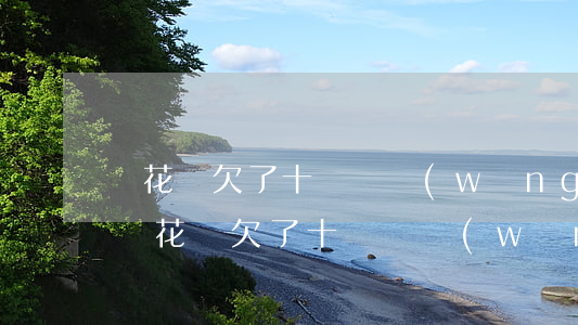 亂花錢欠了十幾個網(wǎng)貸怎么辦(亂花錢欠了十幾個網(wǎng)貸怎么辦)