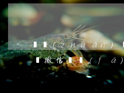 亂轉(zhuǎn)發(fā)微信視頻起訴(微信亂發(fā)視頻罪名怎么處理)