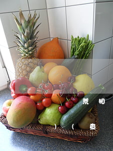亂開荒相關(guān)法律法規(guī)(查處非法開荒依據(jù)的法律條文是什么)