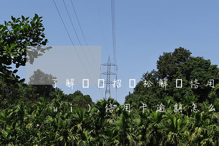 了解這幾招輕松解決信用卡逾期(銀行對(duì)信用卡逾期怎么處理)