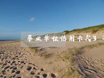 事业单位信用卡欠3万该怎么办-