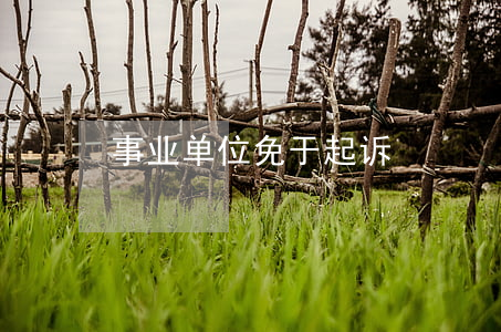 事业单位免于起诉