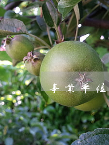 事业单位提前退休(事业单位提前退休新政策)