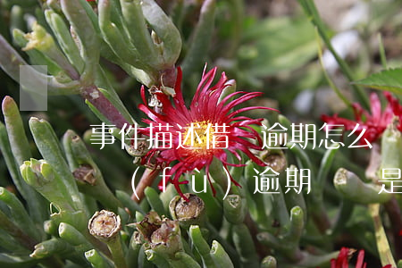 事件描述借唄逾期怎么寫(xiě)(借唄修復(fù)逾期記錄是什么意思)