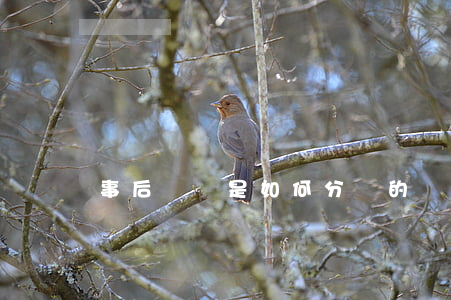 事后審計是如何分類的
