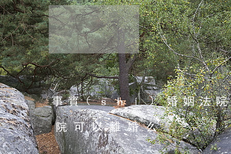事實(shí)婚姻法院可以判不離婚嗎(法院可以離婚么)