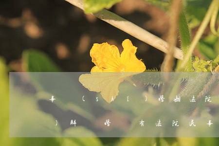 事實(shí)婚姻法院可以調(diào)解離婚嗎(有法院民事調(diào)解書算離婚了嗎)