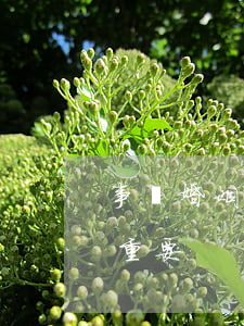 事實婚姻在遺產(chǎn)繼承中竟如此重要！