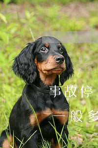 事故停車費多少錢一天(交通事故車輛停車費一般多少錢一天)